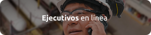 Ejecutivos en Línea